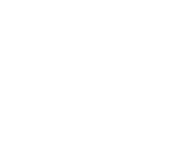 American board of plastic surgery_white
